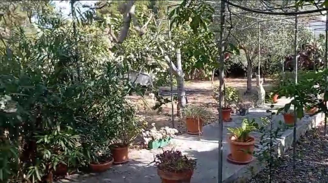 Casa Vacanze Il Carrubo Лепорано Екстериор снимка